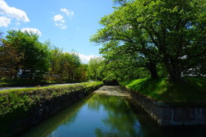  日本で二つしかない、星型のお城・田口城址は約1.0kmのところにあります。美しいお堀が現存しています。(周辺)