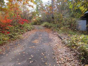 前面道路 前面道路