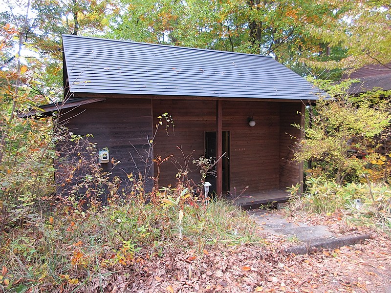 森の景色が最高！ロフトは４．５畳の和室！おひとりで過ごすにはぴったりな戸建てです。